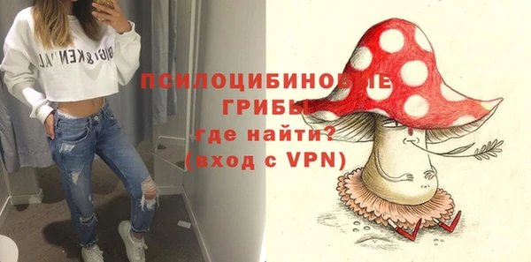spice Семёнов