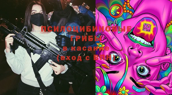 ПСИЛОЦИБИНОВЫЕ ГРИБЫ Семилуки