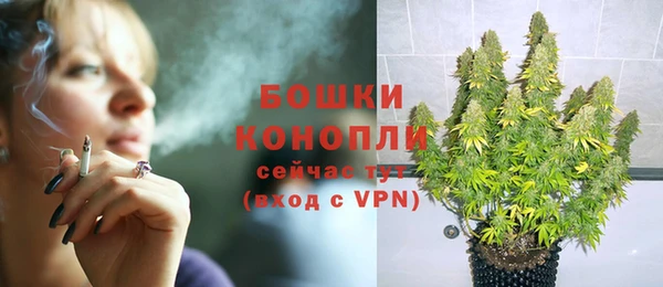 ПСИЛОЦИБИНОВЫЕ ГРИБЫ Семилуки