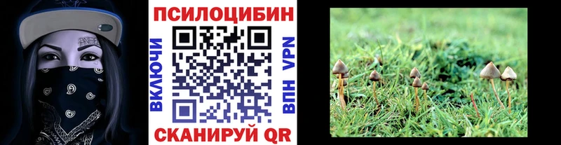 Псилоцибиновые грибы Psilocybine cubensis  mega ссылка  Урень 